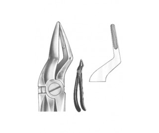 Relax Extracting Forceps